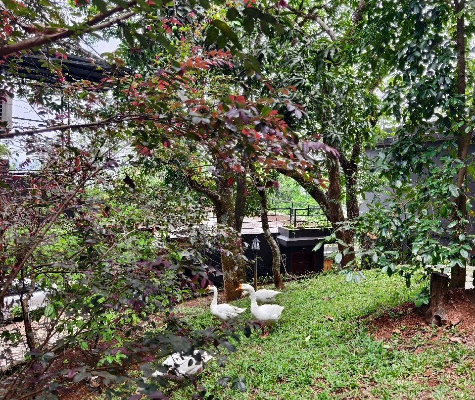 雾和风筝度假区ムナール主图