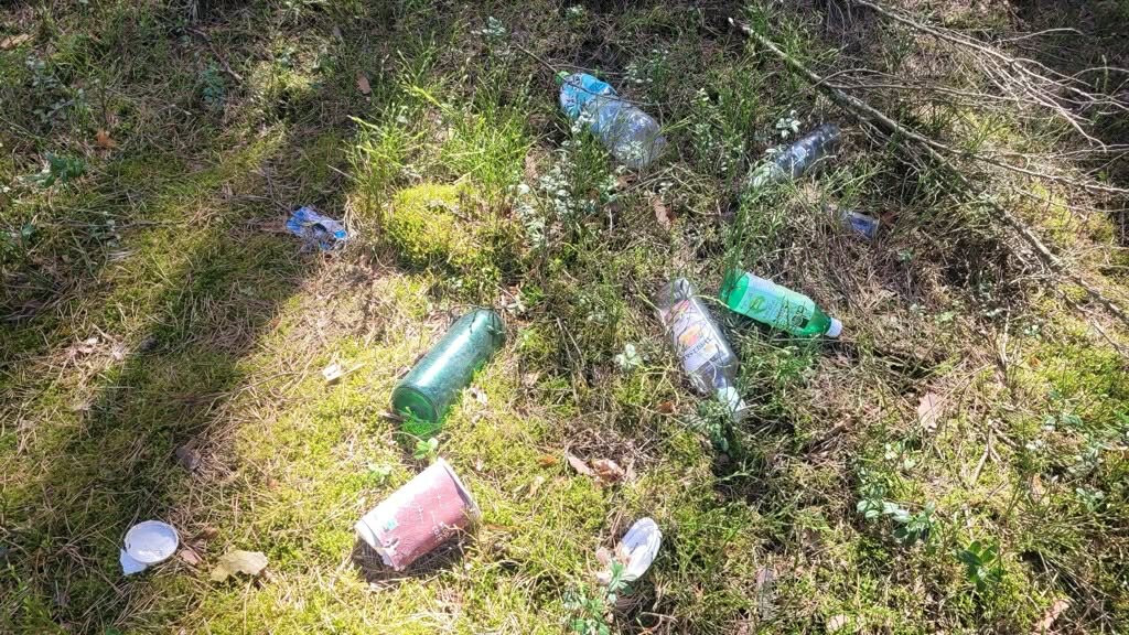 Jurajski Krysztal主图