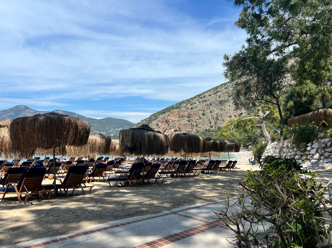 自由利基亚成人酒店主图