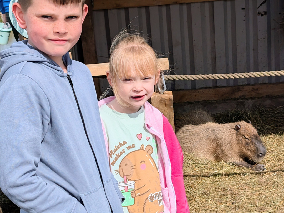 Peak Wildlife Park-Winkhill必去景点