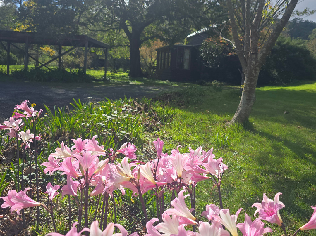 布埃斯德山麦克顿乡村住宿加早餐旅馆主图