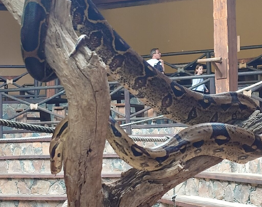 帕尔米图斯动植物园-马斯帕洛马斯必去景点