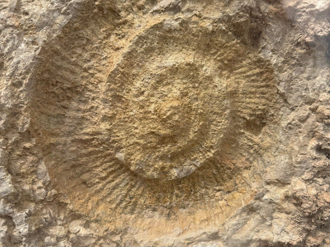 国王小路-Ardales必去景点