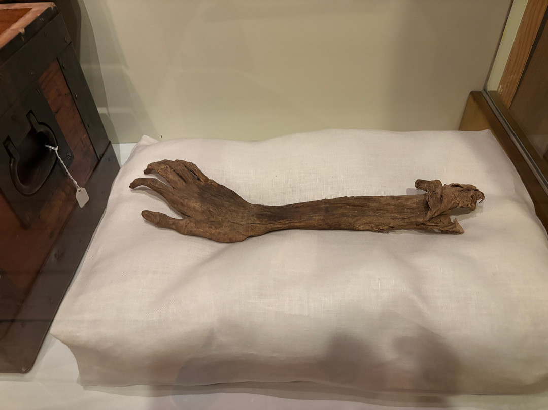 National Museum of Civil War Medicine-弗雷德里克必去景点