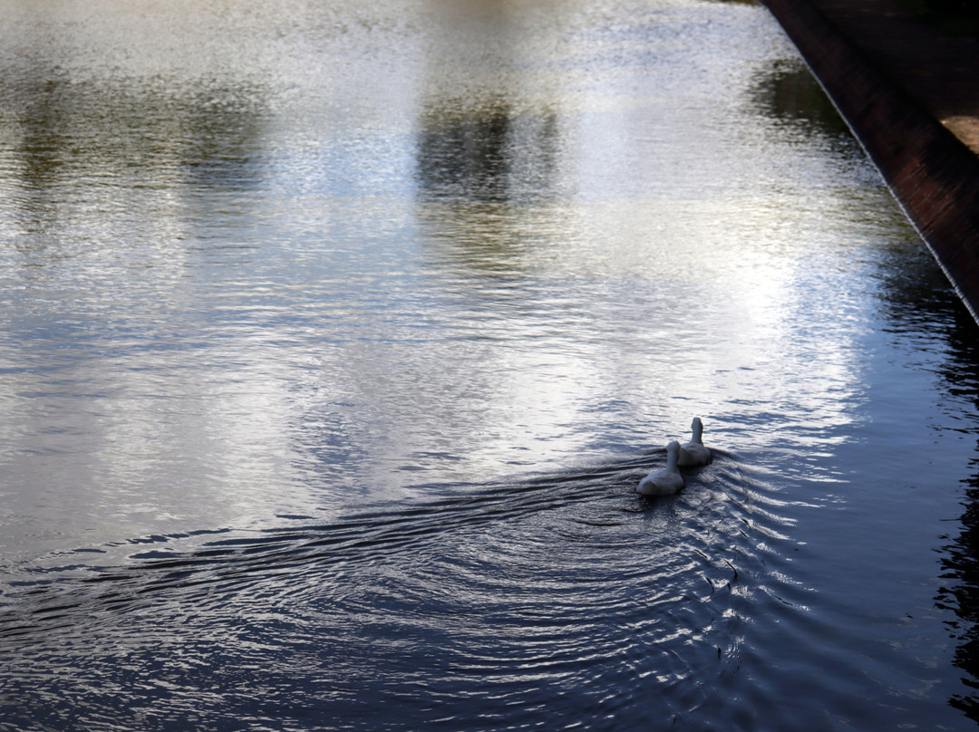 Parque de la Agricultura-Esperanza必去景点