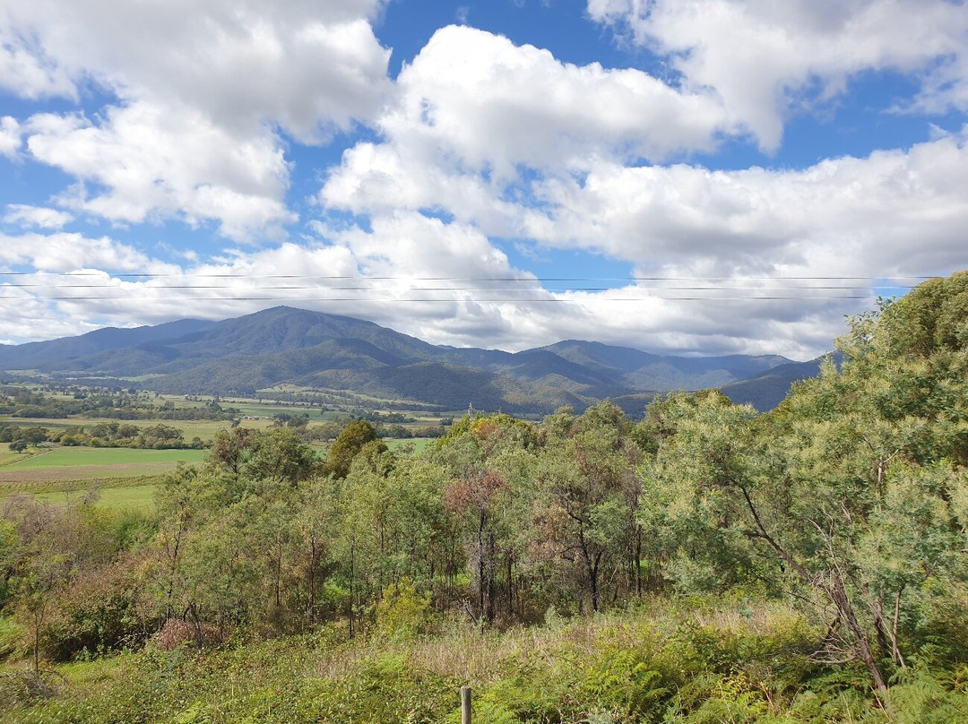 Mount Bogong Lookout-Tawonga South必去景点