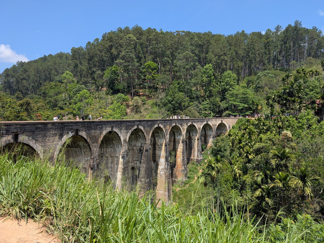 Amusing Lanka Tours-科斯戈德必去景点
