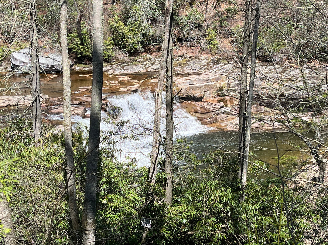 Durbin and Greenbrier Valley Railroad-Elkins必去景点