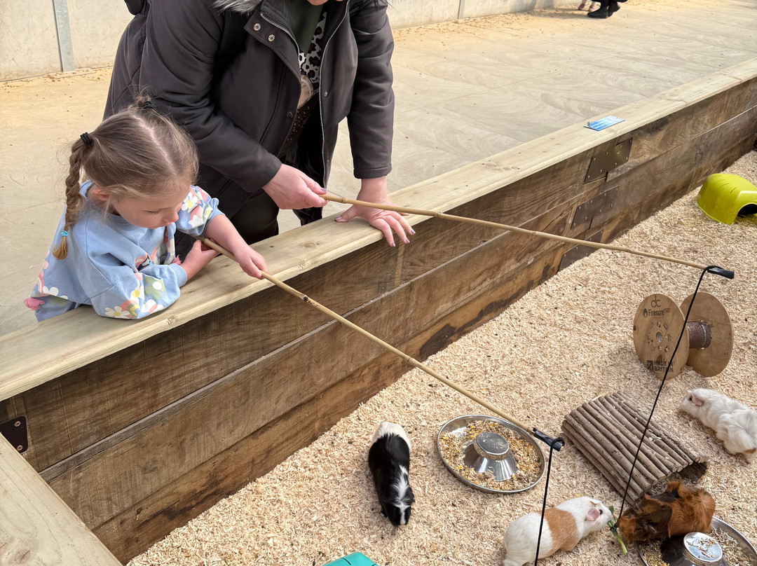 Monk Park Farm-Bagby必去景点