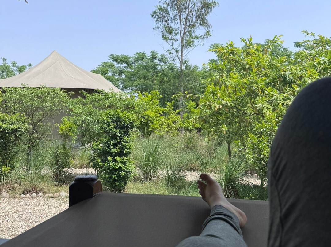 Aalia丛林班达再次主图