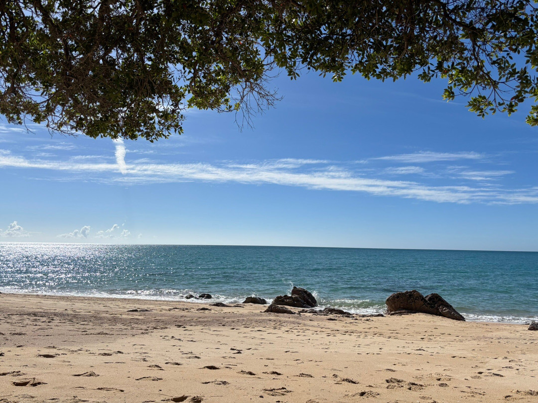 Wilsons Abel Tasman-Abel Tasman National Park必去景点
