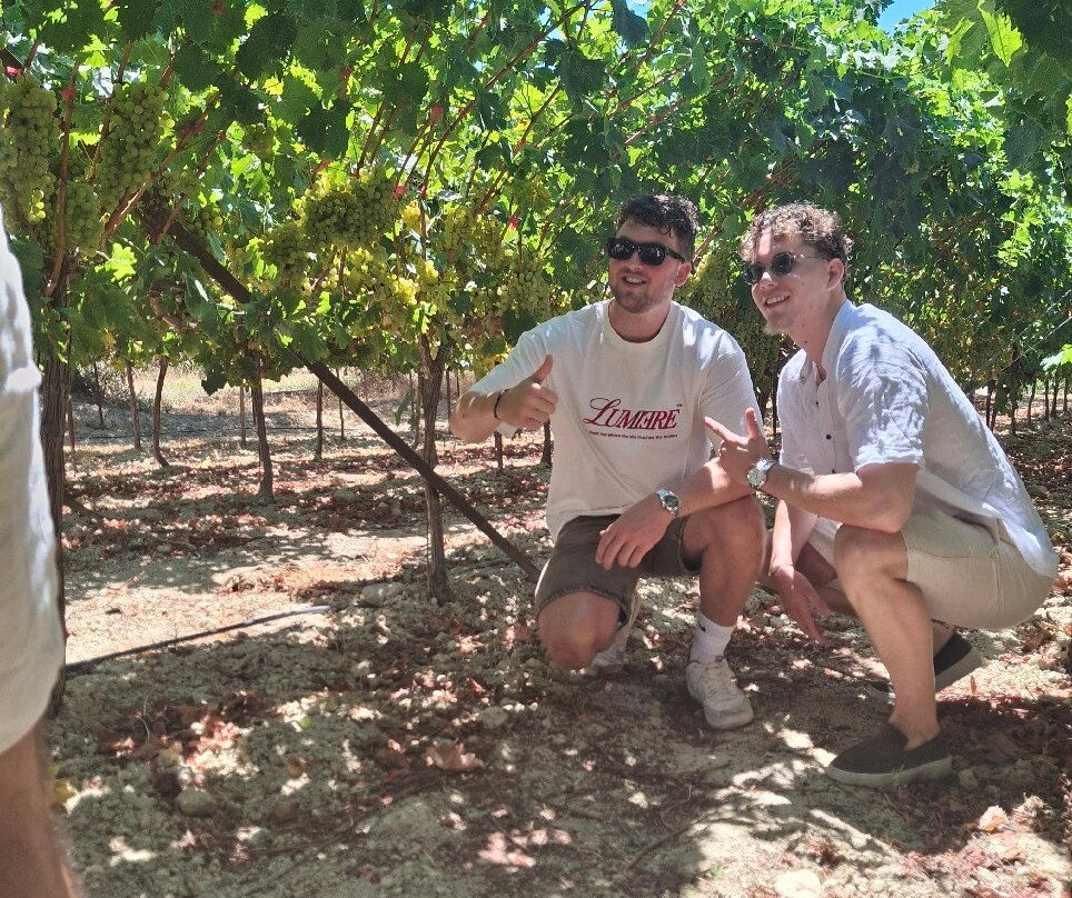 Fournarakis Winery-Episkopi必去景点