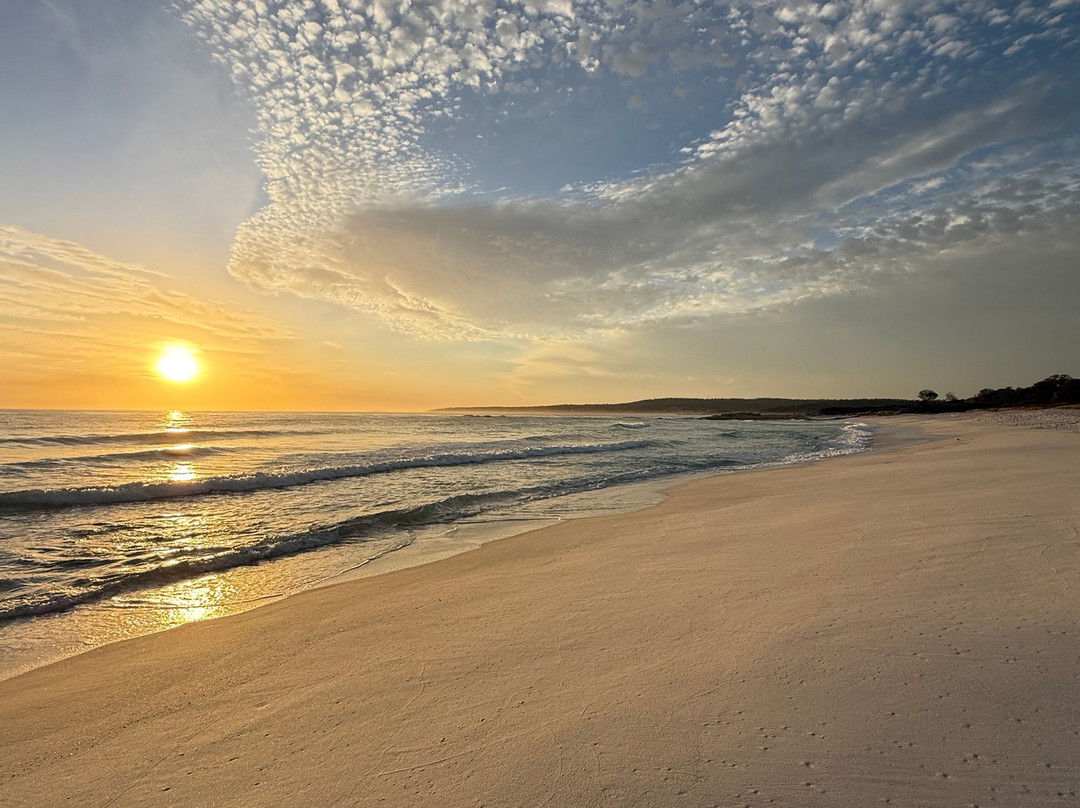 Tasmanian Campervan Hire-Mornington必去景点