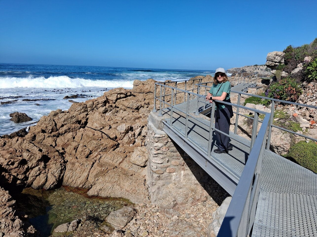 Hermanus Cliff Path-赫曼努斯必去景点