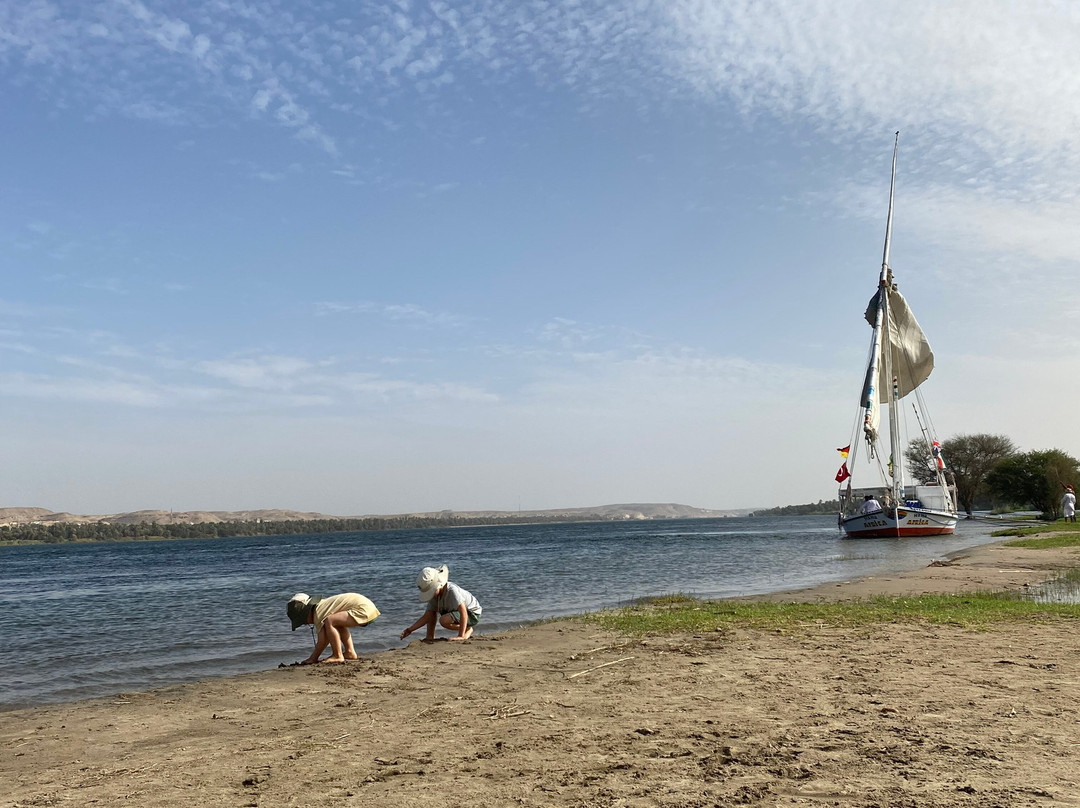 Hamdy Cook Felucca-亚斯文必去景点