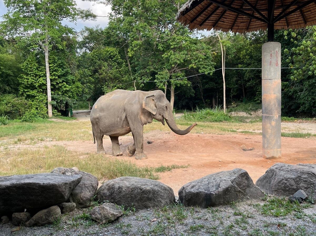 Phangan Elephant Sanctuary-帕岸岛必去景点