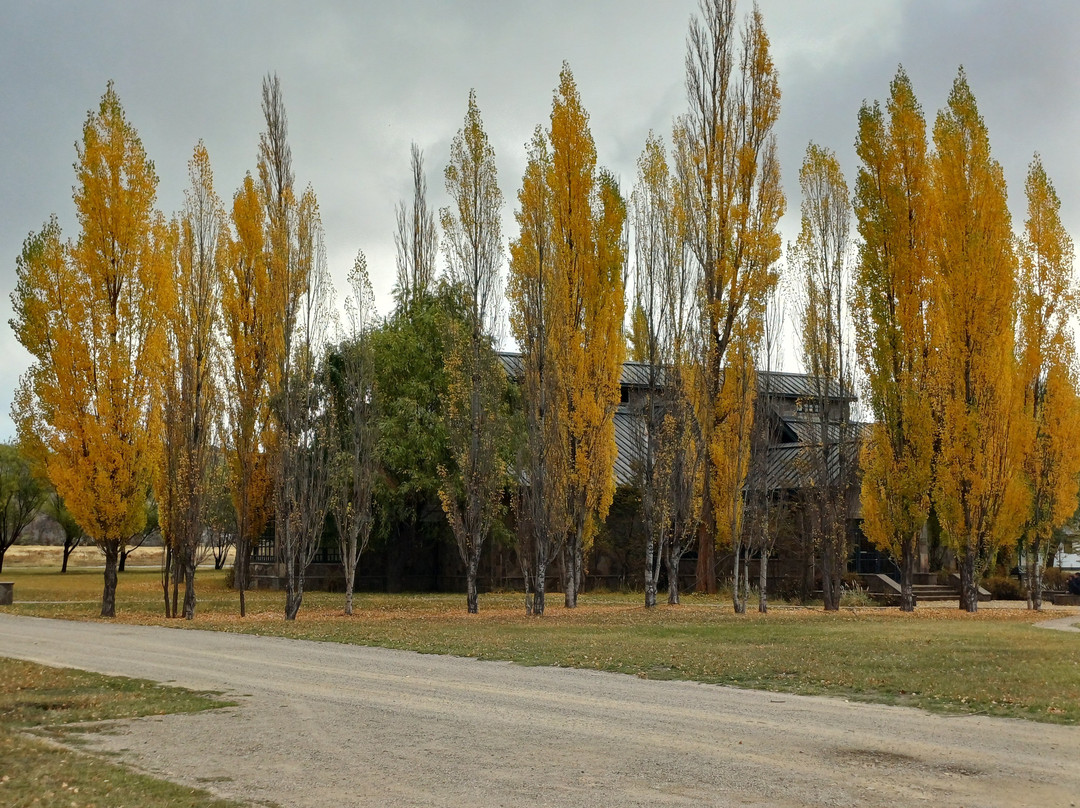 Parque Patagonia-Cochrane必去景点