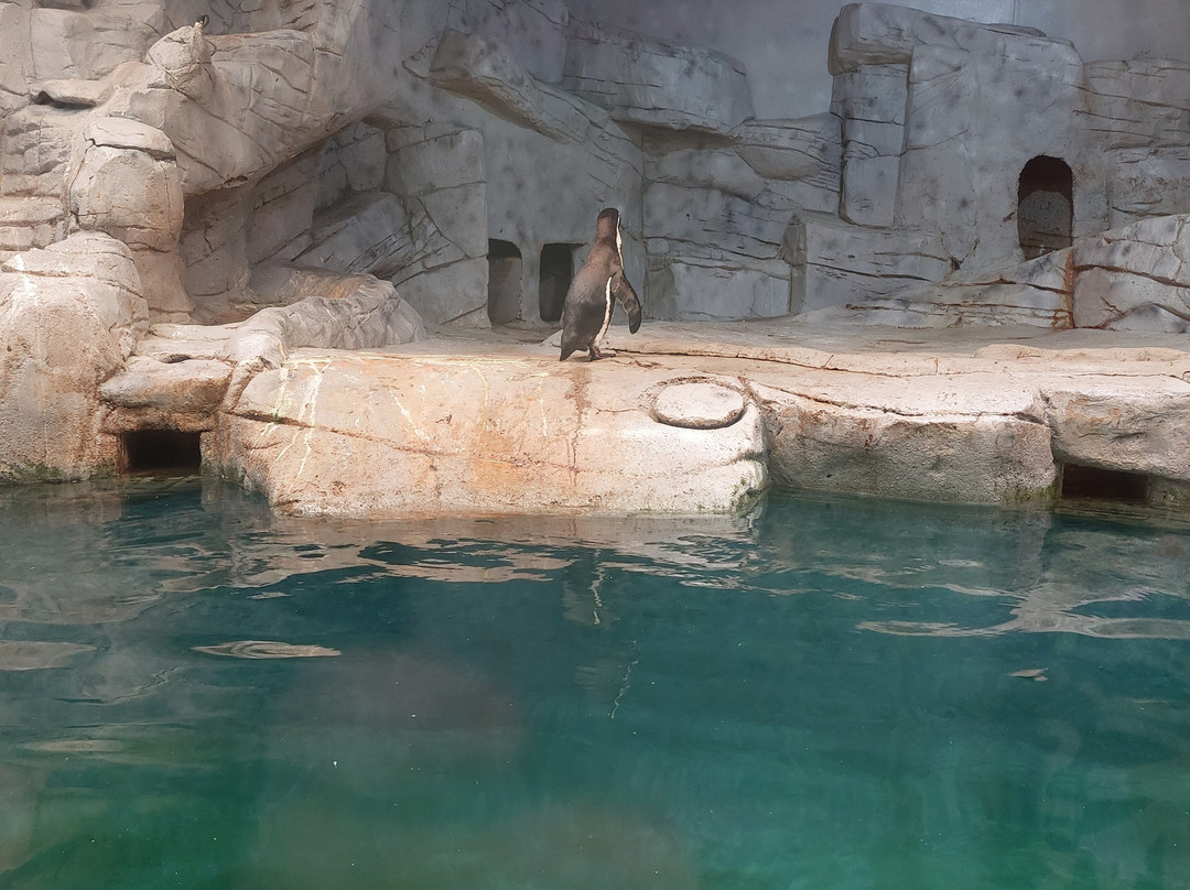 Ocean Aquarium-普它肋斯必去景点