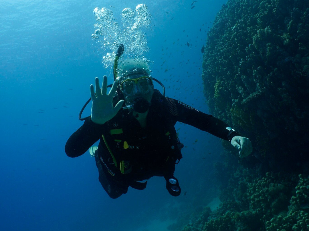 Aquarius Diving Club-沙姆沙伊赫必去景点