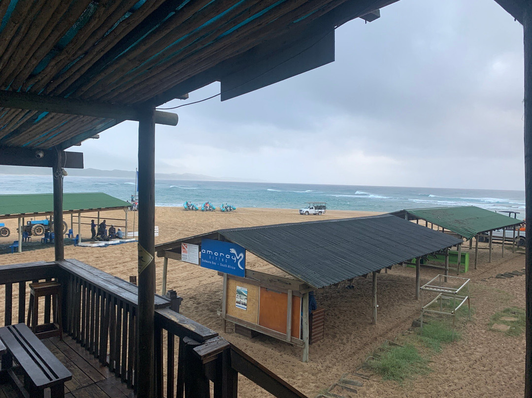 Pisces Diving Sodwana Bay-索德瓦纳必去景点