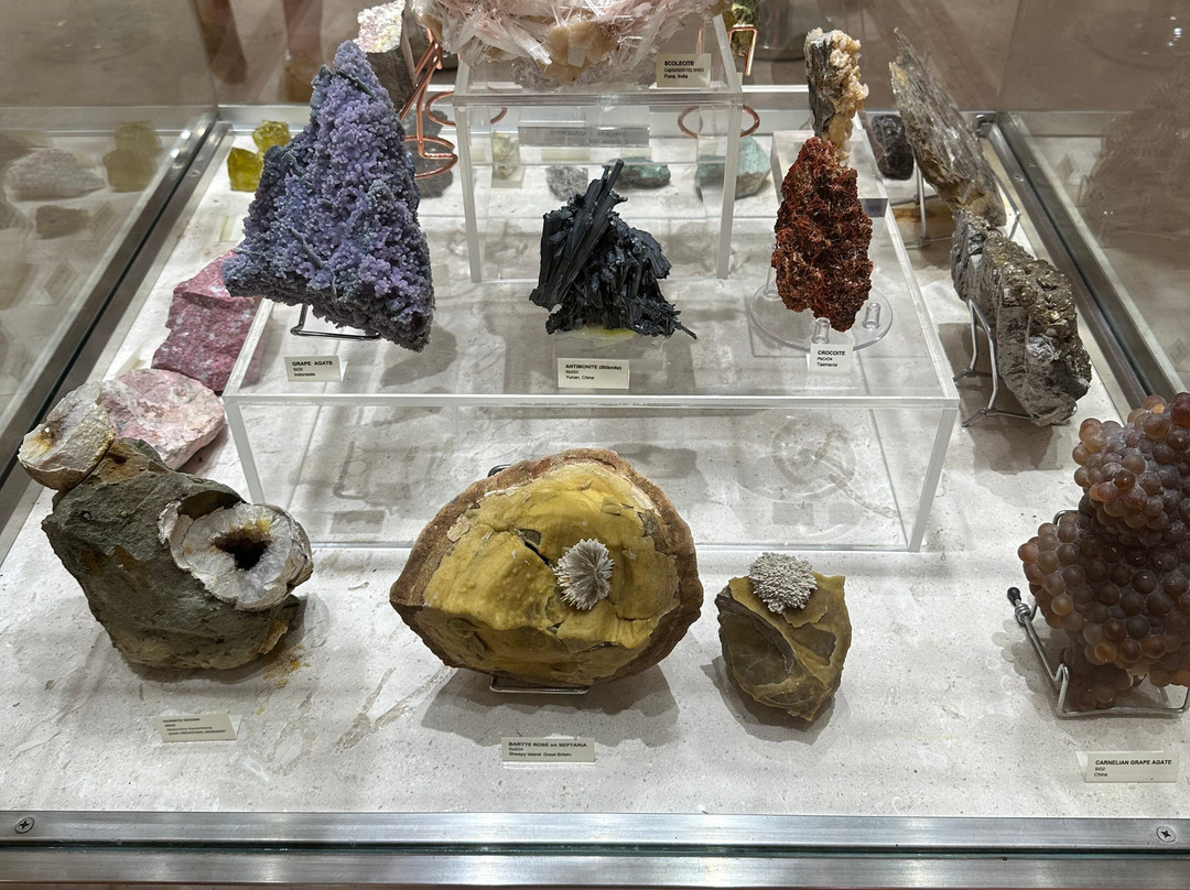 Museum of Mineralogy and Paleontology Stamatiadis-Ialysos必去景点