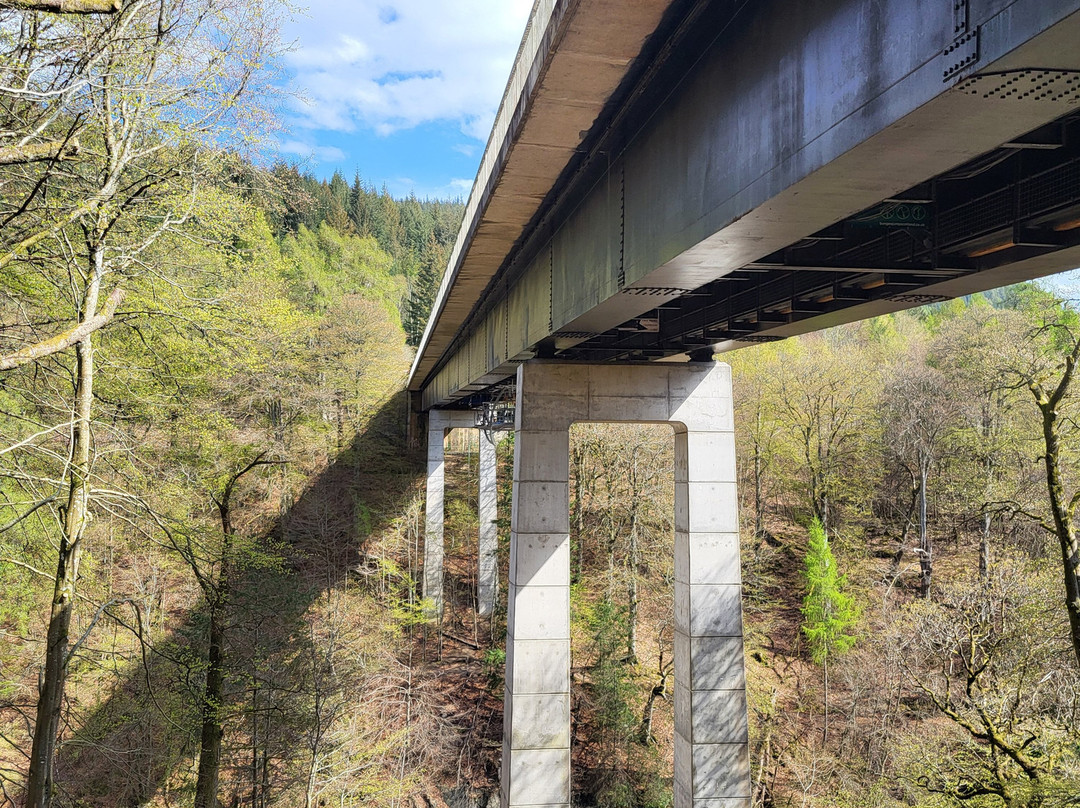 Highland Fling Bungee-Killiecrankie必去景点