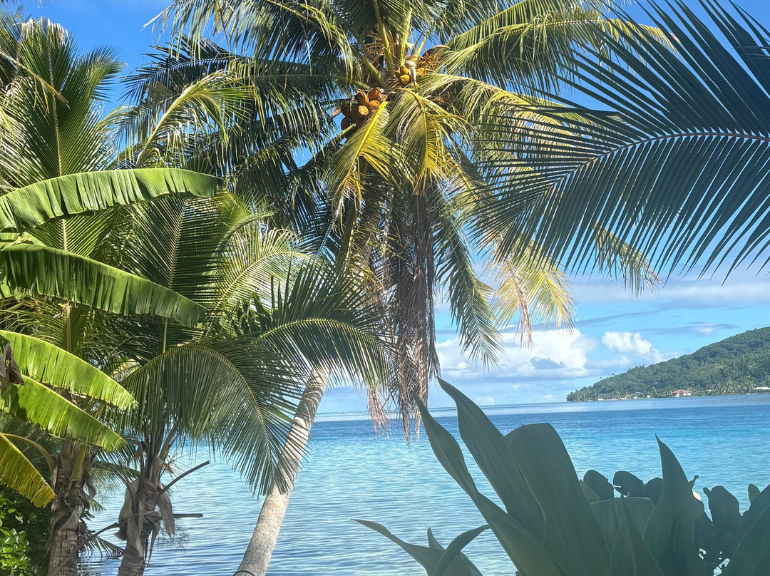 Huahine Dream Tours-Huahine必去景点