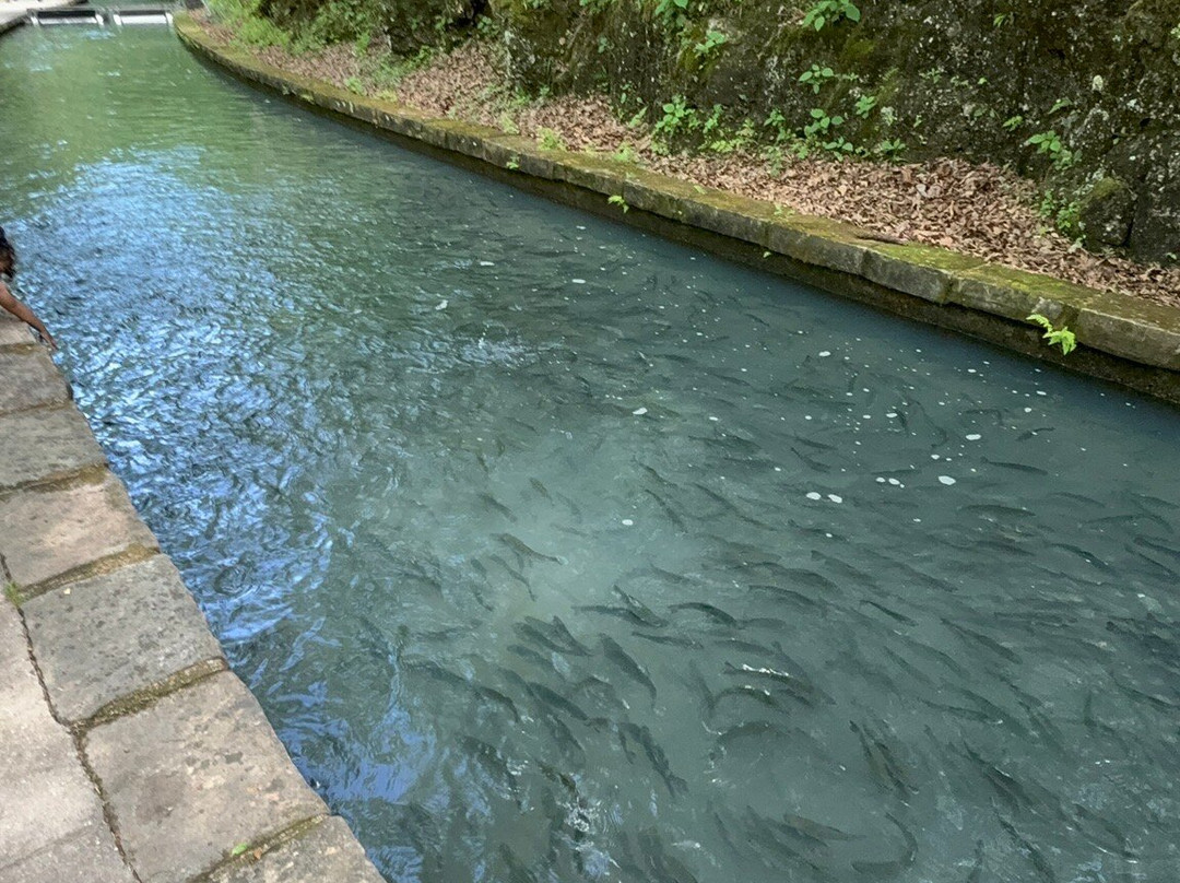 Maramec Spring Park-Saint James必去景点