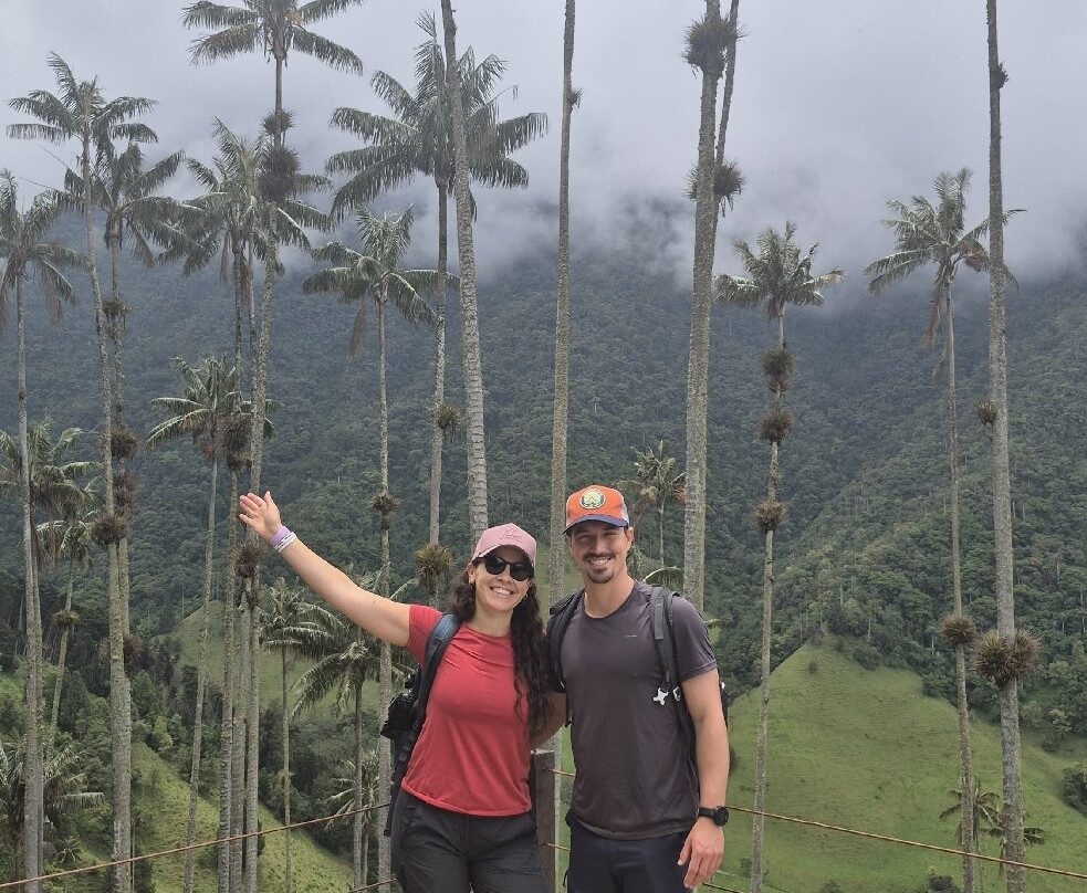 Valle De Cocora-萨伦托必去景点