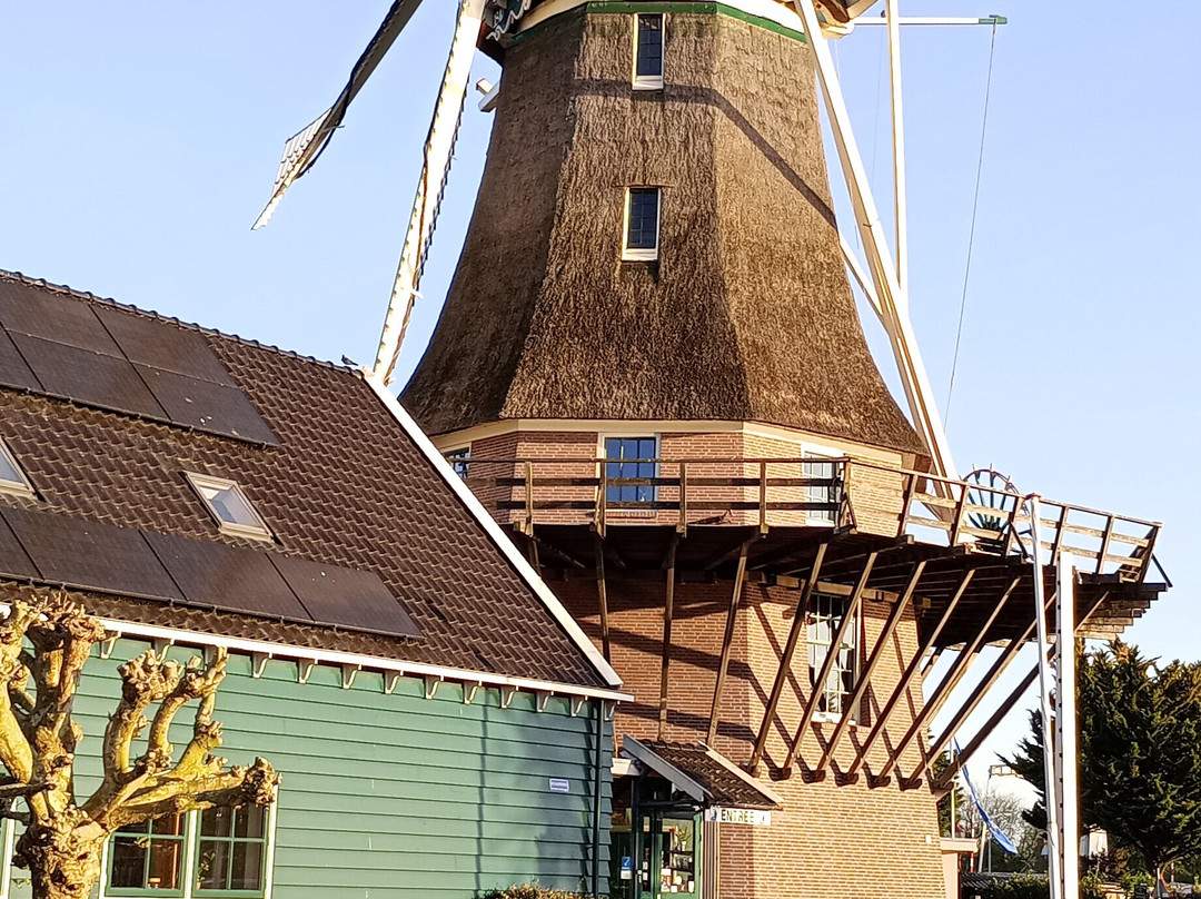 Molen Van Sloten-阿姆斯特丹必去景点