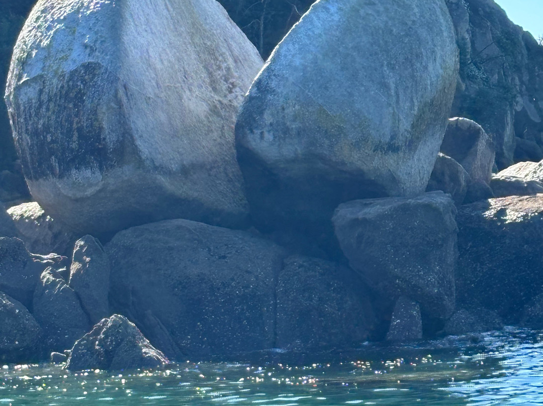 Molesworth High Country Tours-布伦海姆必去景点