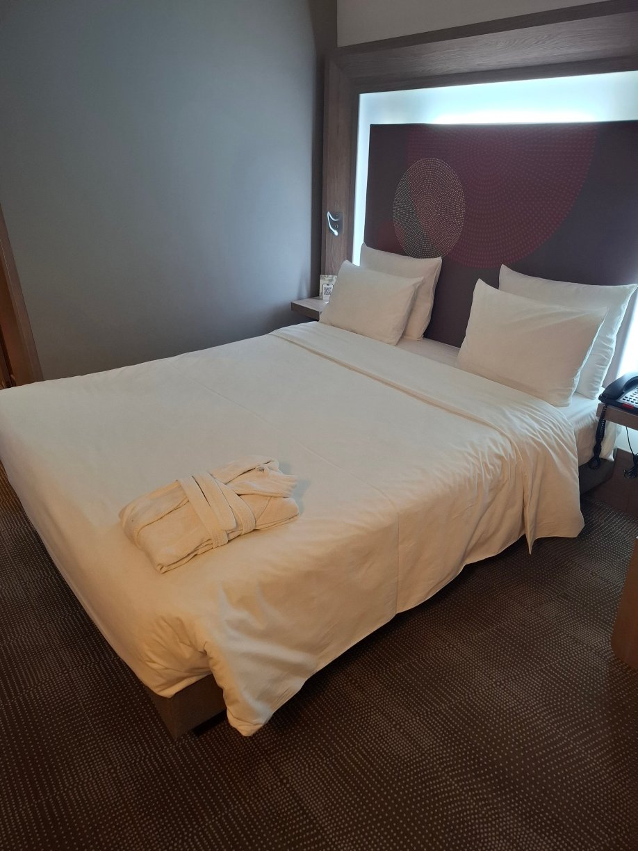 阿拉木图市中心诺富特酒店-旅行者