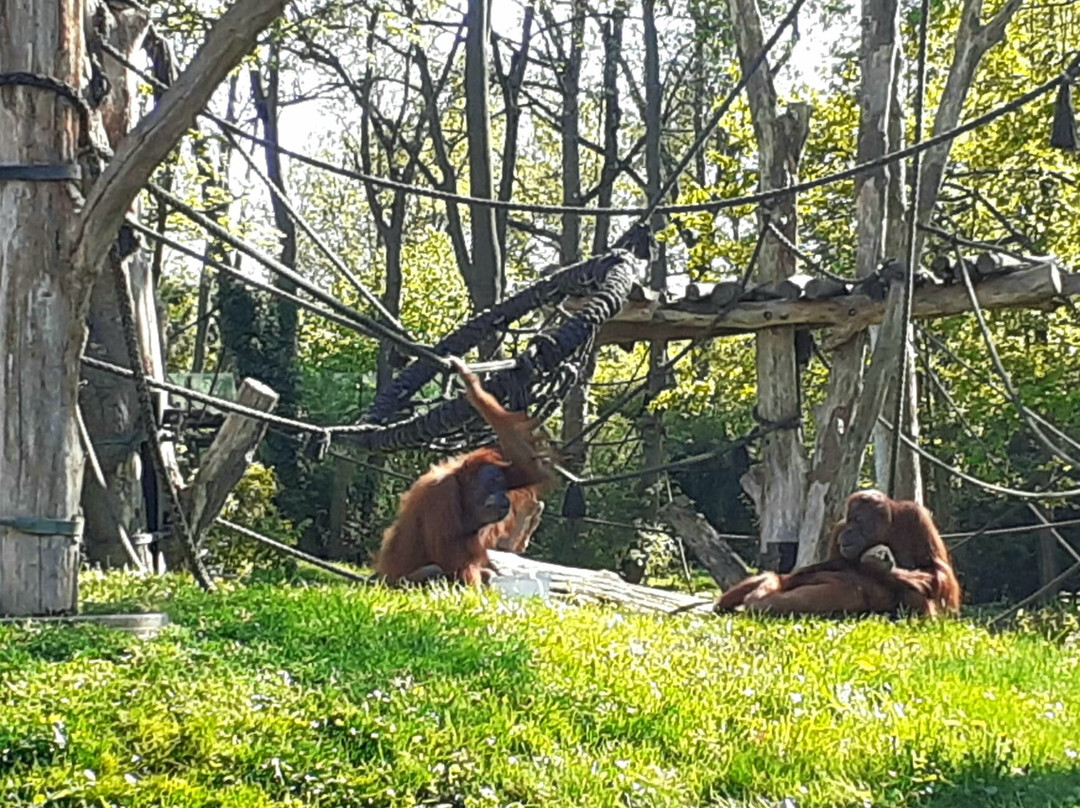 Zoo Leipzig-莱比锡必去景点
