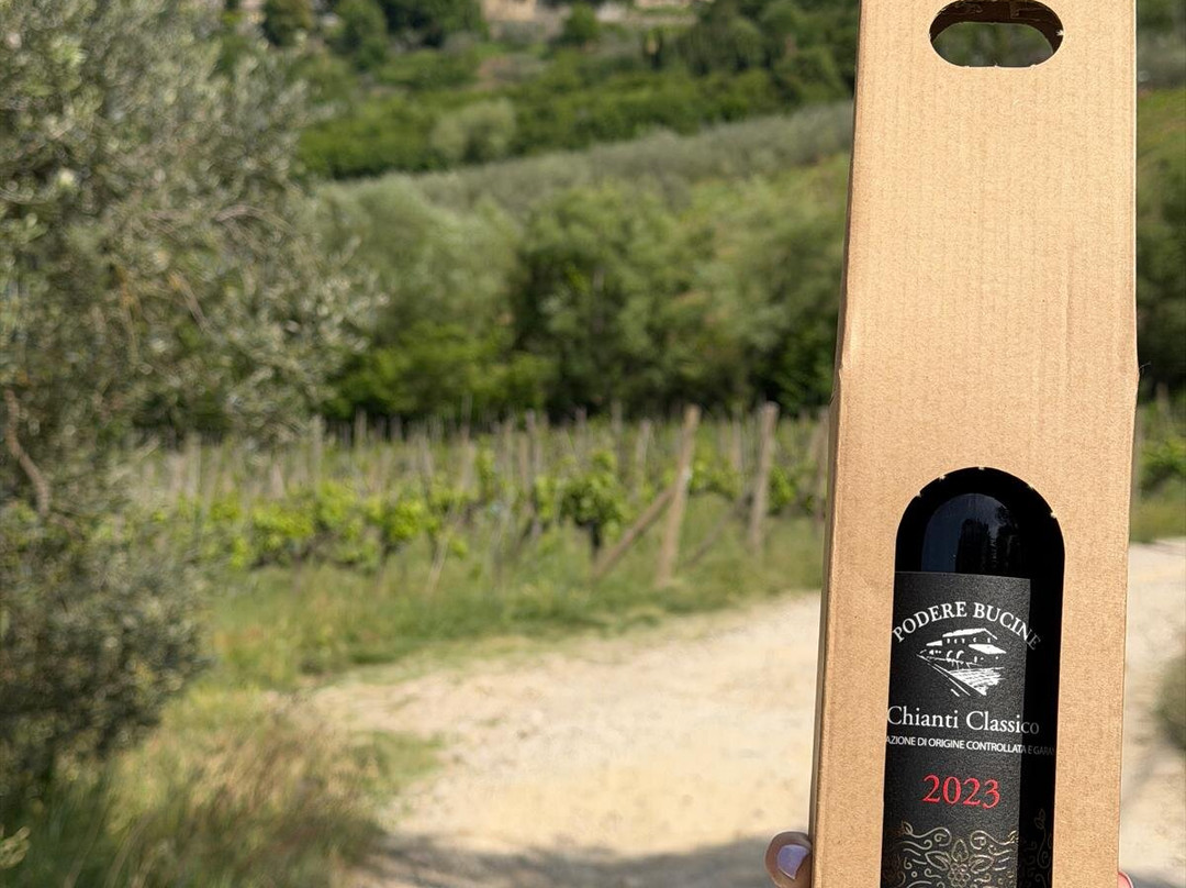 Podere Bucine Winery-格雷韦伊恩基亚恩蒂必去景点