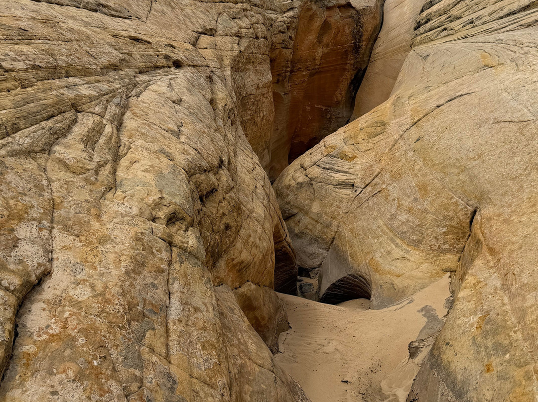 Utah Slickrock Guides-Boulder必去景点