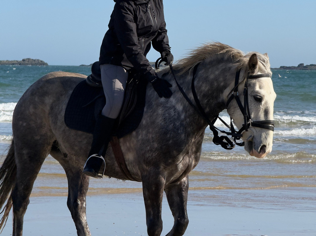 Bespoke Equestrian Ireland-都柏林必去景点