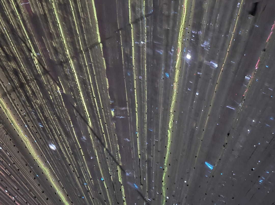 teamLab Planets TOKYO-Toyosu必去景点