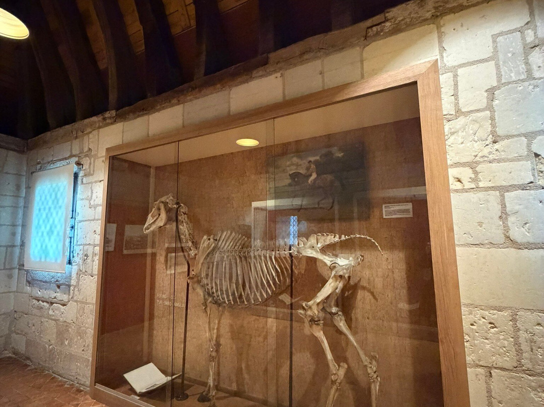Château-musée De Saumur-梭缪尔必去景点