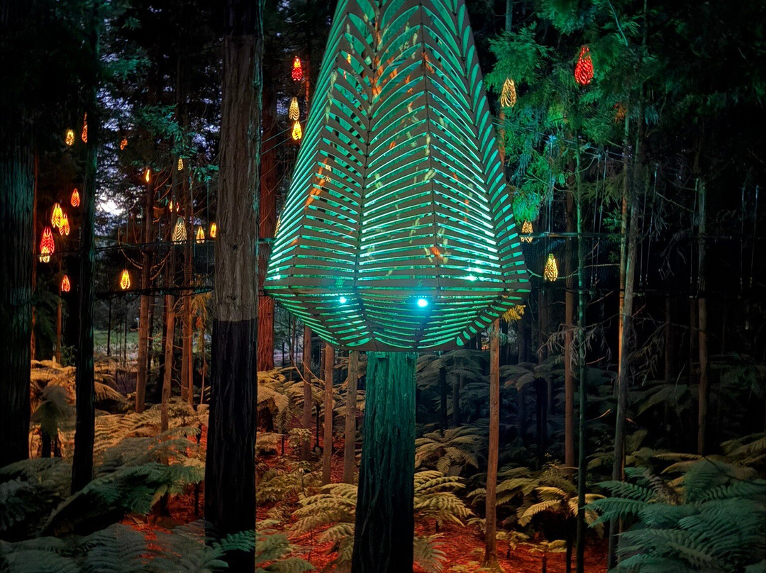 Redwoods Treewalk-罗托鲁瓦必去景点