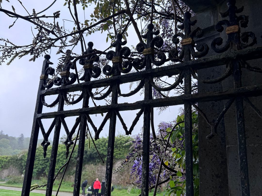 Mount Congreve Gardens-County Waterford必去景点