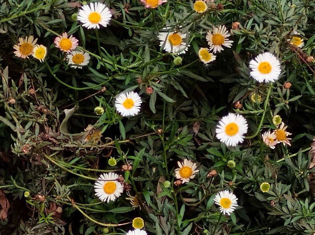 雅靠芒果山酒店主图