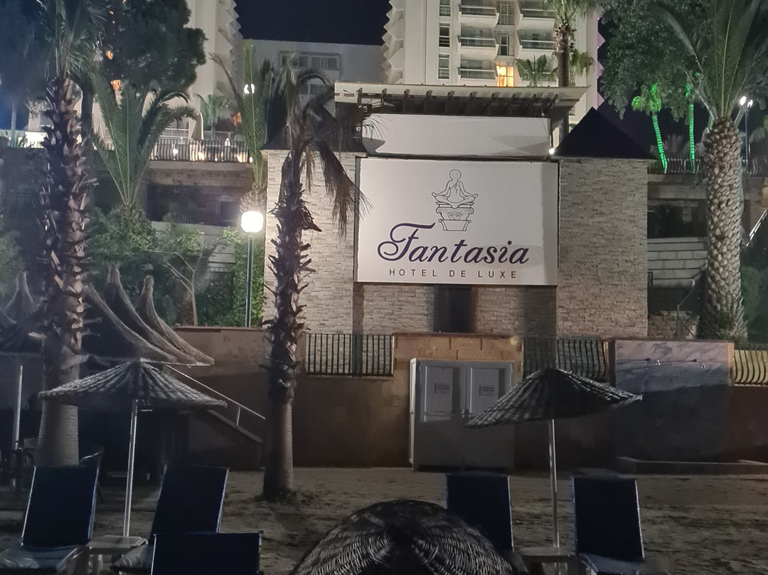 凡塔斯昂豪华酒店主图