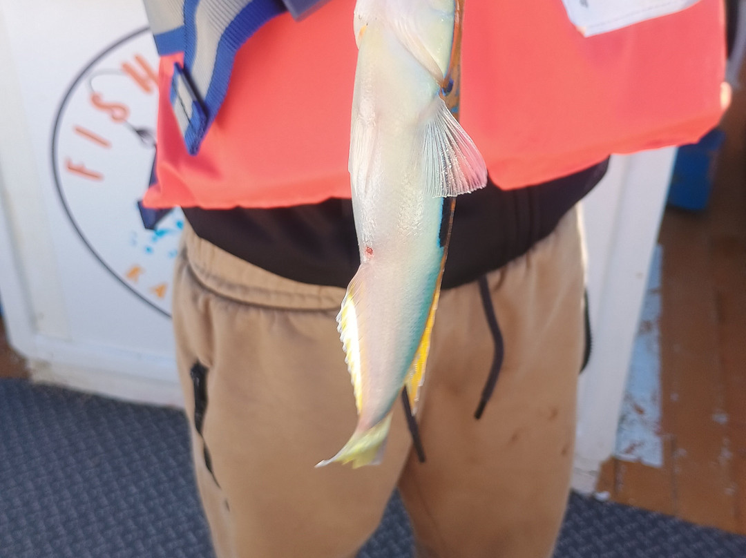 Fishing Trips Kalives-Kalyves必去景点