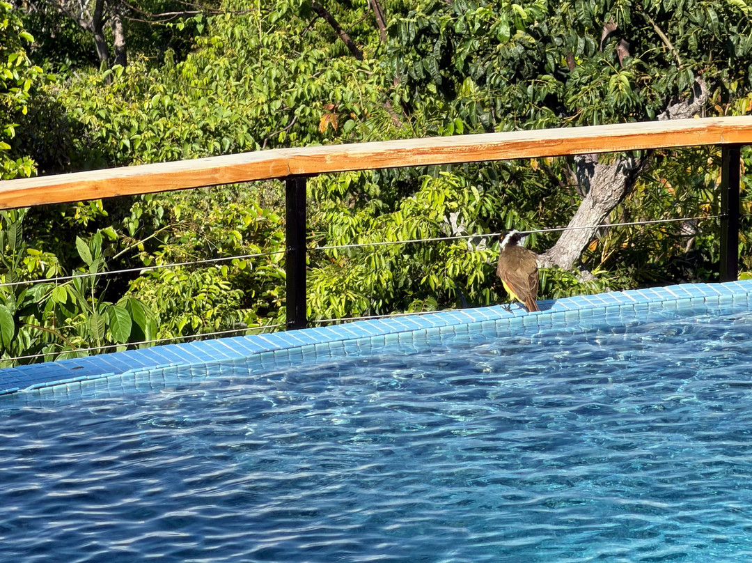 Villa Roca Boutique Resort & Suites主图