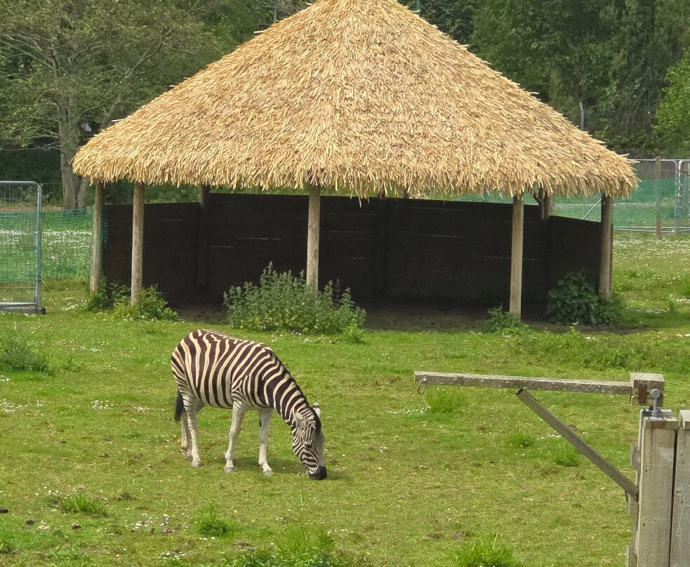 Newquay Zoo-纽奎必去景点