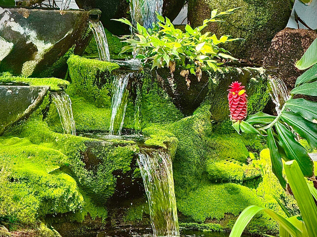 Cheyenne Botanic Gardens-夏延必去景点