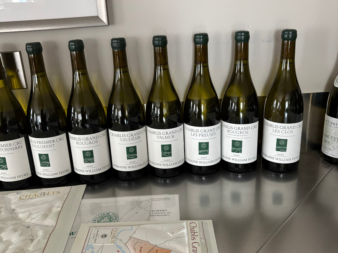 William Fevre Grands Vins De Chablis-Chablis必去景点