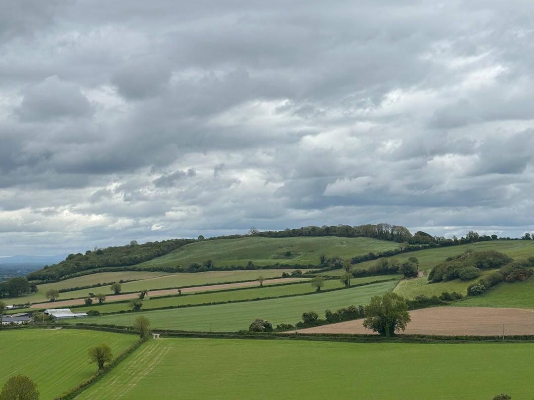 Rock of Dunamase-Portlaoise必去景点