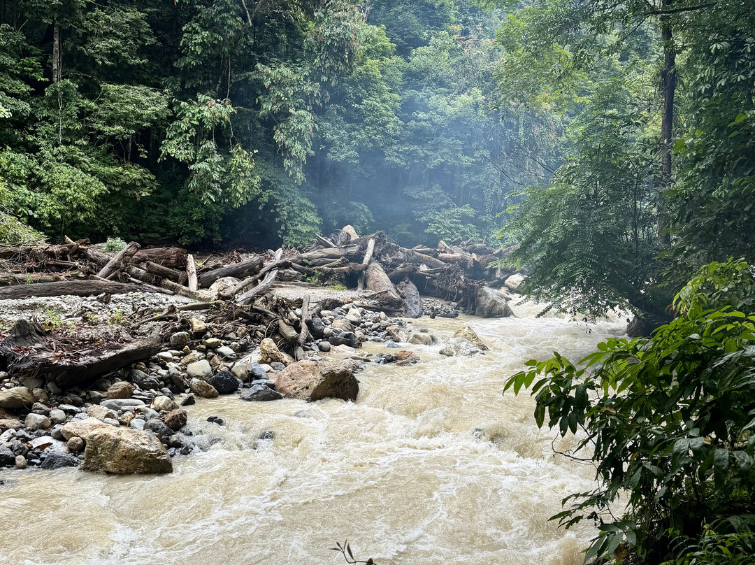Local Jungle Trekking Guide-Ketambe必去景点