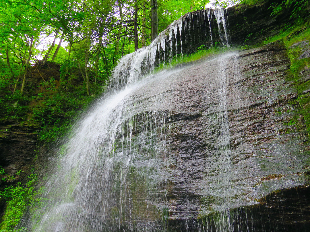 Buttermilk Falls Natural Area-New Florence必去景点